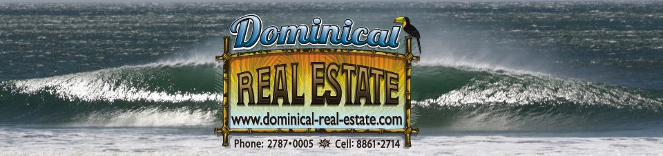 Dominical Real Estate